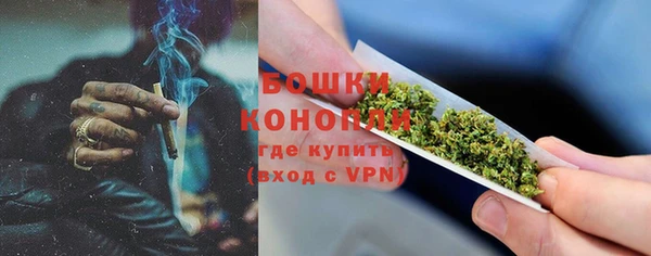 индика Киреевск