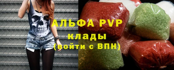 индика Киреевск