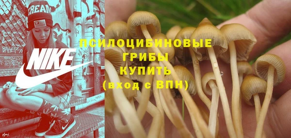 метадон Костерёво
