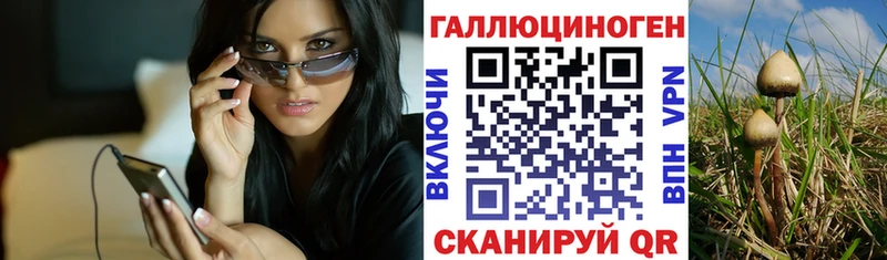 Галлюциногенные грибы Psilocybe Кукмор